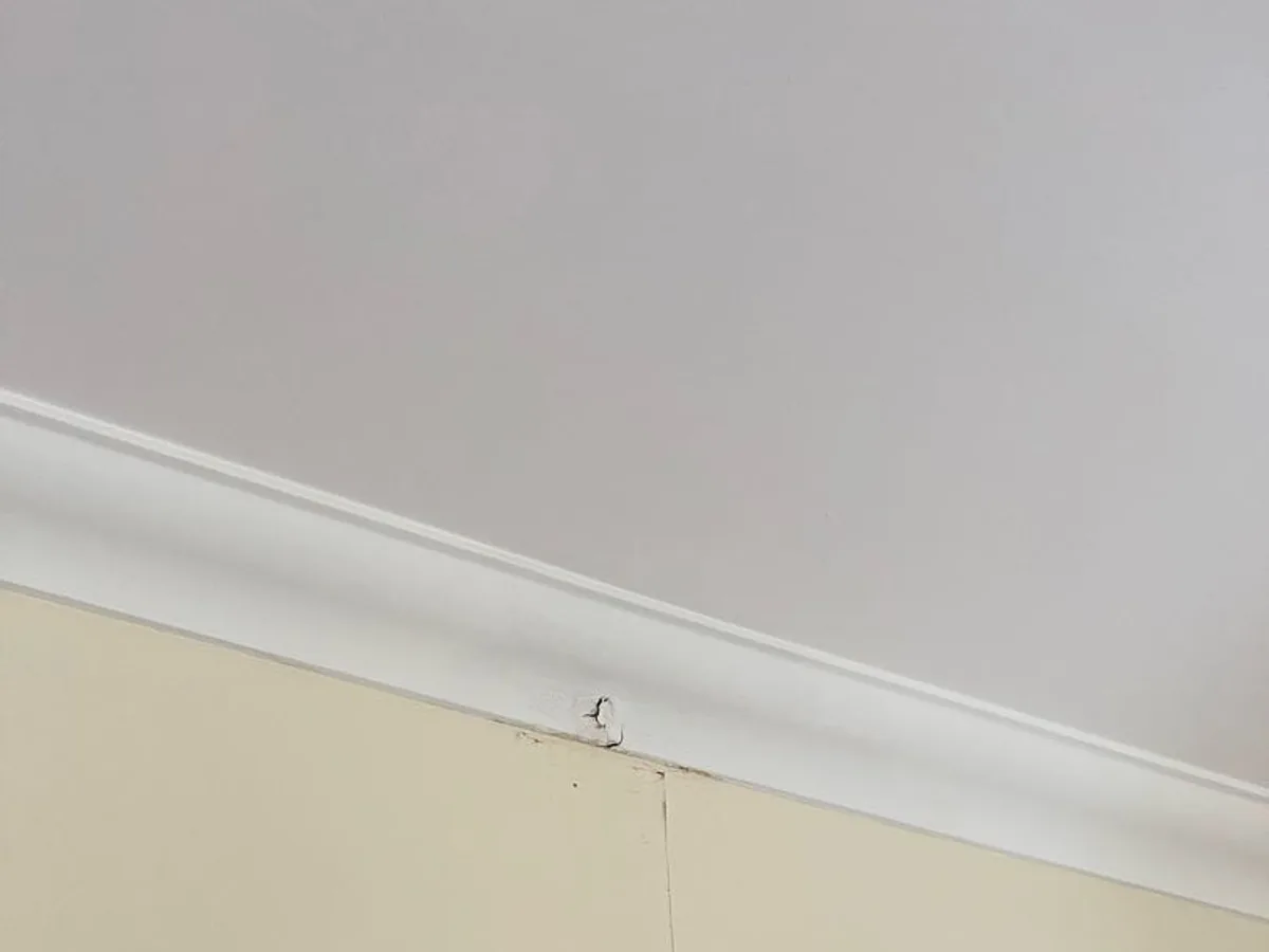 Water mark and small crack beside the kitchen ceiling cornice in Irvine